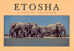 Etosha, A Visual Souvenir