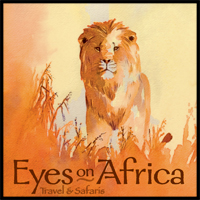 Eyes on Africa logo