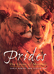 Prides - The Lions of Moremi