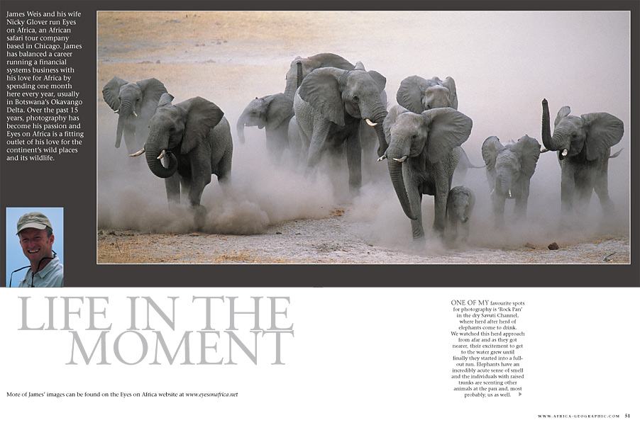 Elephants spread - Africa Geographic portfolio, April 2004 - © James Weis