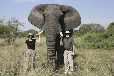 Elephant encounter in Botswana