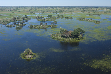The lovely Okavango Delta, Botswana