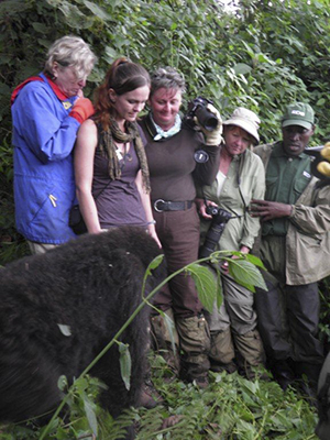 Close encounter while gorilla tracking