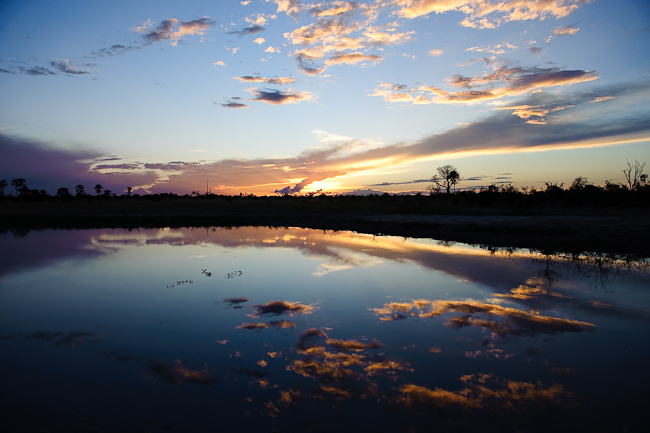Okavango water reflection