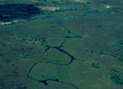 Meandering channel in the Okavango Delta