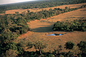 Aerial view of the Savuti Channel