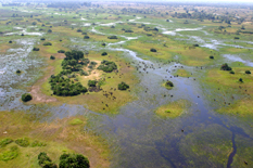 Floodwater in the Okavango Delta