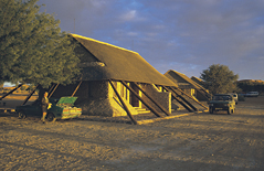 Camp in the Kgalagadi Transfrontier Park