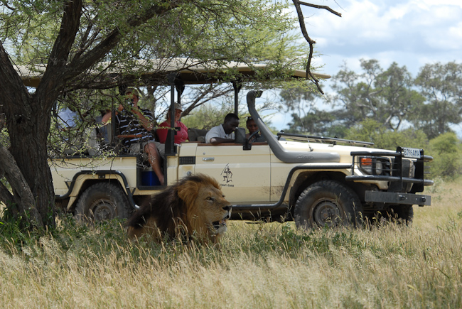 CHief's camp game drive
