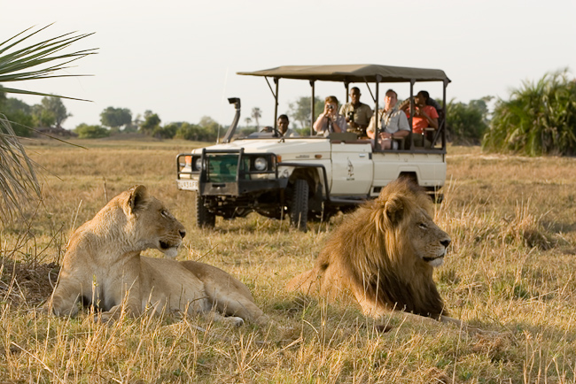 CHief's camp game drive