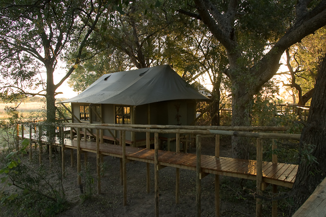 Chitabe walkway and tent