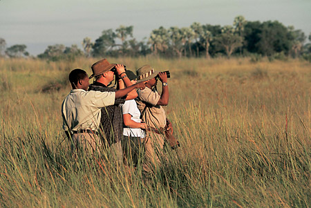 Game walks with a guide are an experience not to be missed