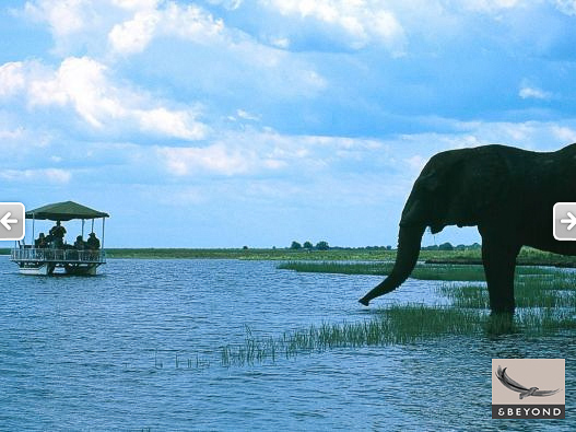 Elephant and boating