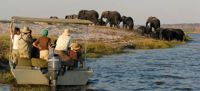 Boating safari on the Zambezi