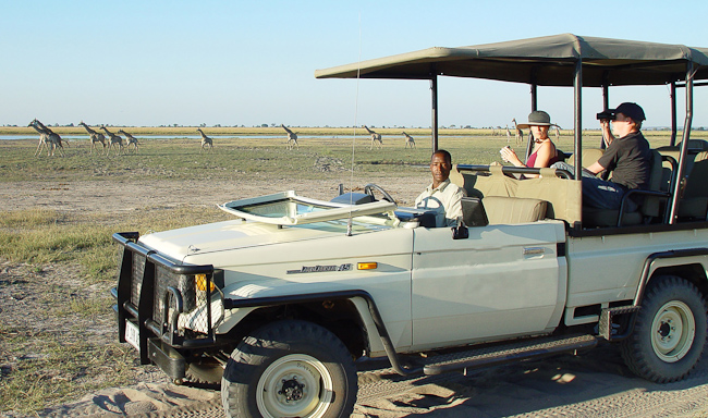 Game drive in Chobe National Park