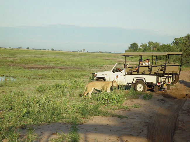 Game drive in Chobe National Park
