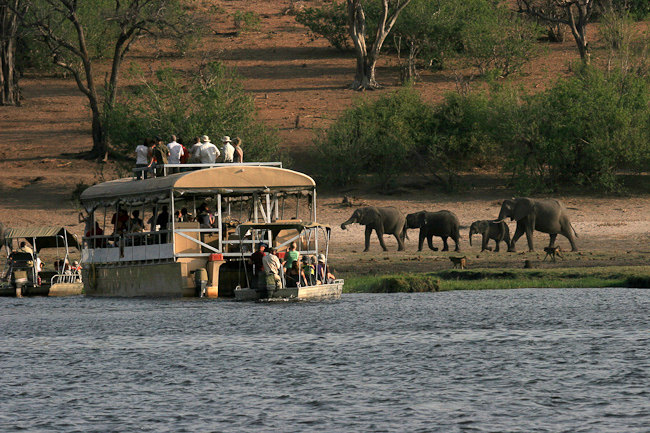 Boating safari on the Zambezi river