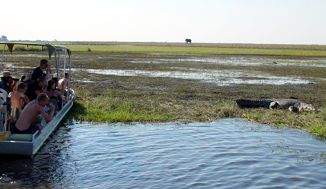 Boat excursion on the Zambezi river