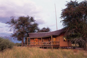 The guest chalets are spacious and privately situated