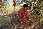Bushman demonstrating snare used for hunting