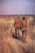 Bushman tracking