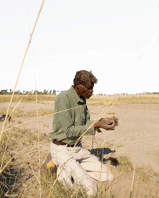 Bushman Tracking