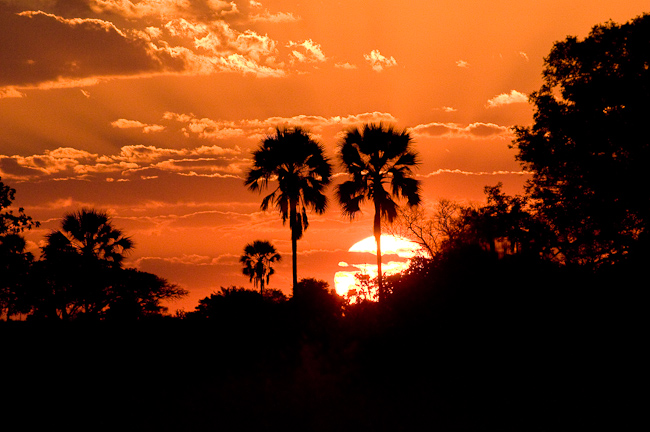 Lovely African sunset at Jao Camp