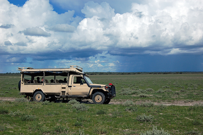 Game drive in the Central Kalahari