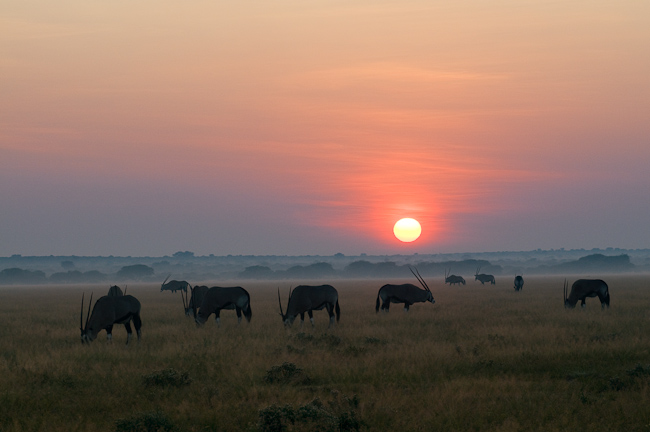 Sunrise over the Kalahari Plains
