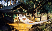 A guest relaxes in her hammock for an afternoon siesta