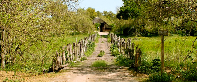 Entrance to Khwai River Lodge