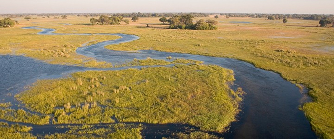 Okavango waterways