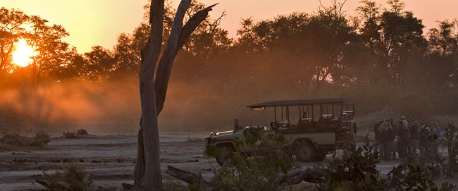 Game drive and sundowner drinks