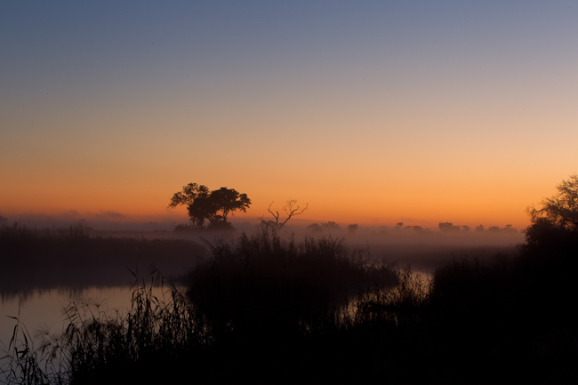 Sunrise over Misty Lagoon