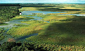 An aerial view of the Linyanti River with camp marker 