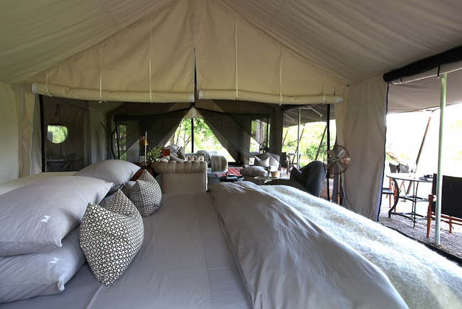 Machaba Camp, View of Tented Room