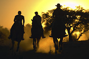 Evening ride with Limpopo Valley Horse Safaris