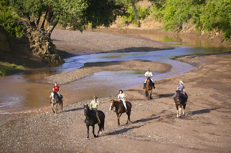 Horse Safari in Mashatu