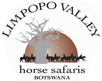 Limpopo Valley Horse Safaris, Mashatu Gamer Reserve, Tuli, Botswana