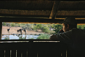 View from inside the Hide