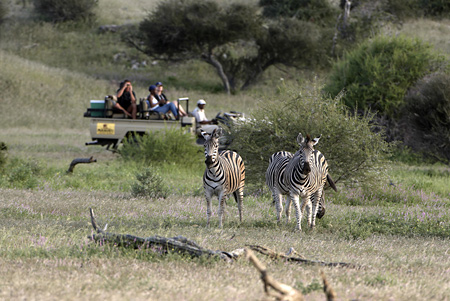 Game Drive and Zebras