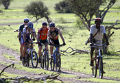 Mashatu Cycle Safari