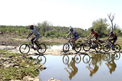 Mashatu Cycle Safari