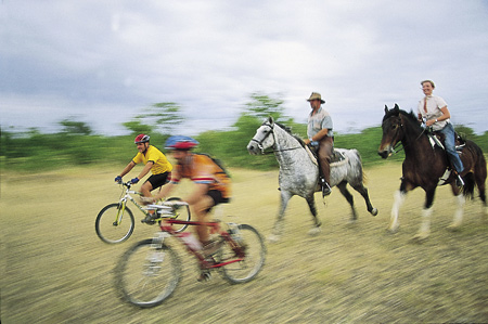 Mashatu Cycle & Horse Safari