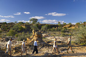 Mashatu Walking Safari
