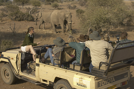 Ivory Game Drive