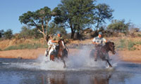 Amazing Horse Safari with Limpopo Valley