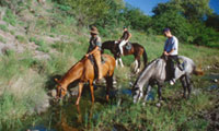 Wilderness horseback safari in Mashatu