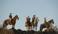 The Tuli Horse Safari