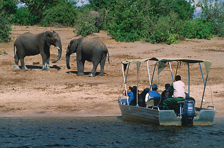 Game viewing from the river is an excellent way to get close up